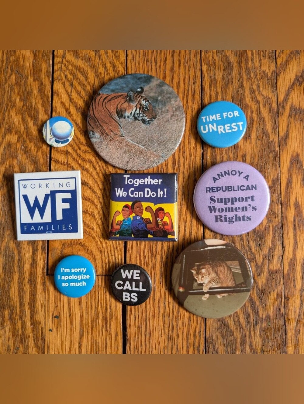 Lot of Vintage Feminist, Liberal, and Cats Pins